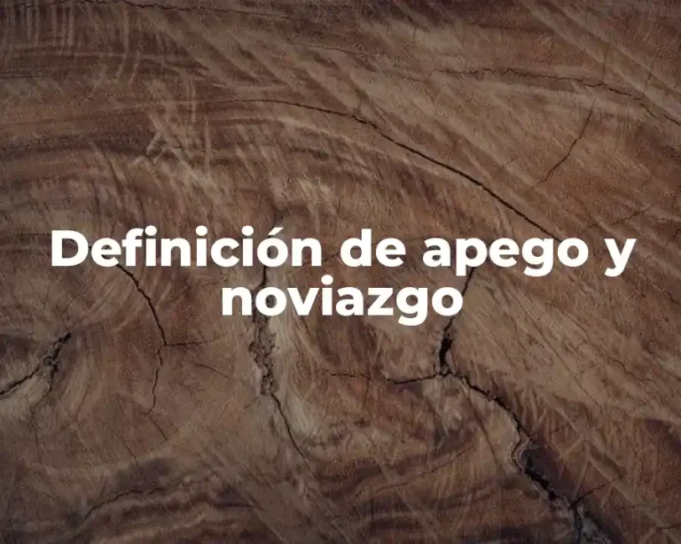 Definición de apego y noviazgo