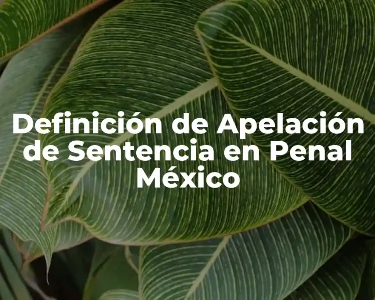 Definición de Apelación de Sentencia en Penal México