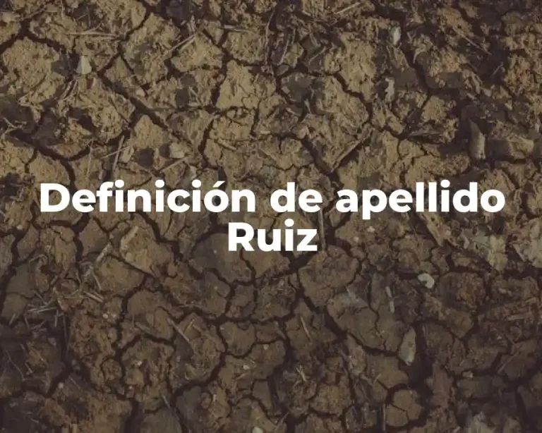 Definición de apellido Ruiz