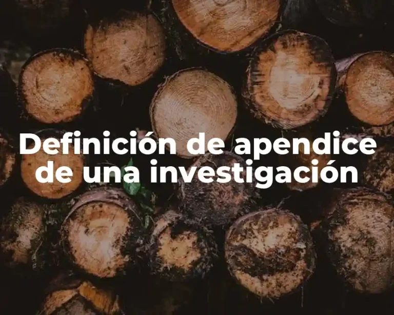 Definición de apendice de una investigación