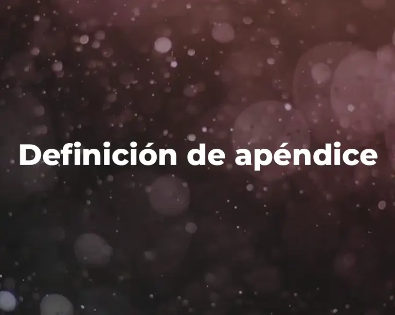 Definición de apéndice
