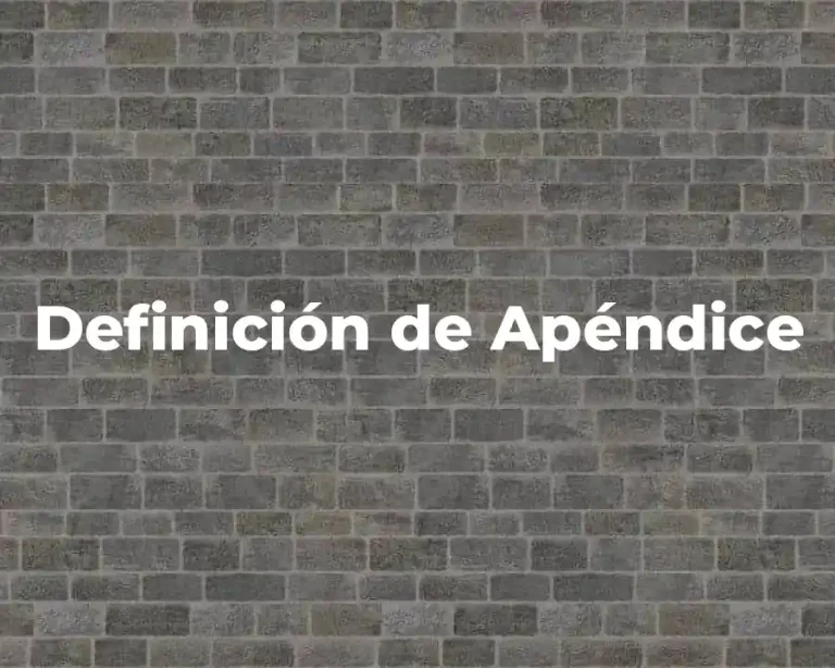 Definición de Apéndice
