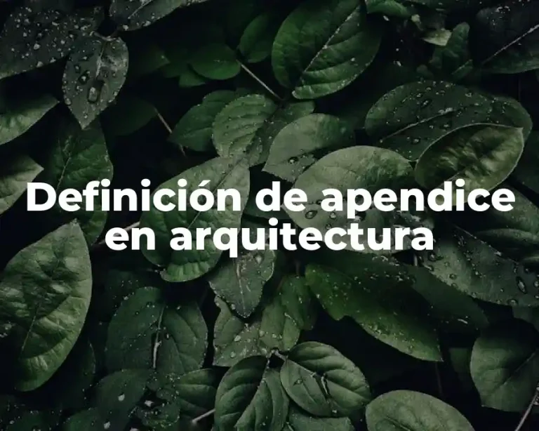 Definición de apendice en arquitectura