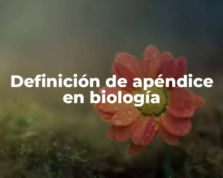 Definición de apéndice en biología