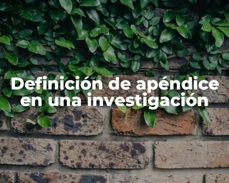 Definición de apéndice en una investigación