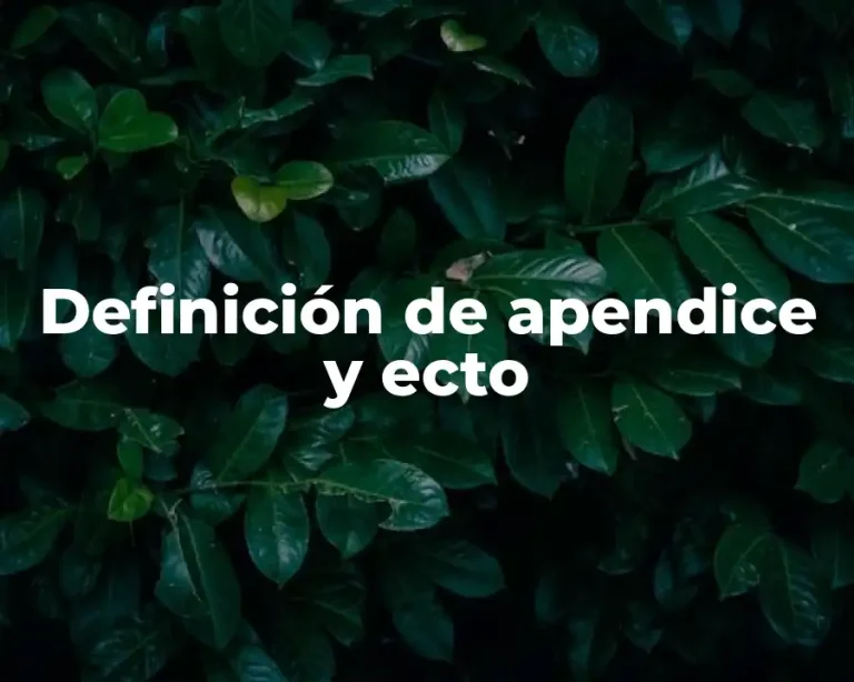 Definición de apendice y ecto
