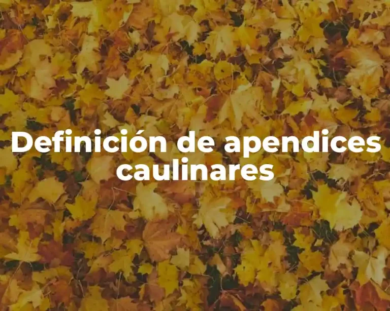 Definición de apendices caulinares