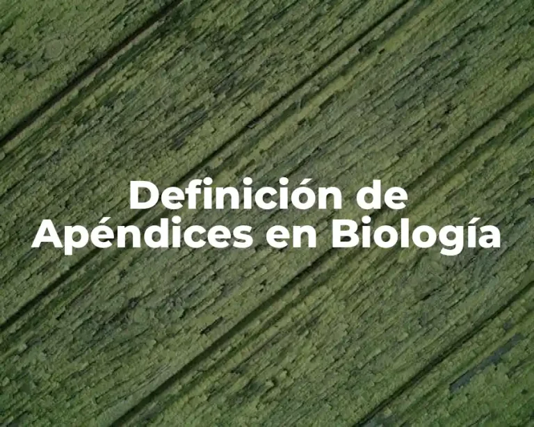 Definición de Apéndices en Biología