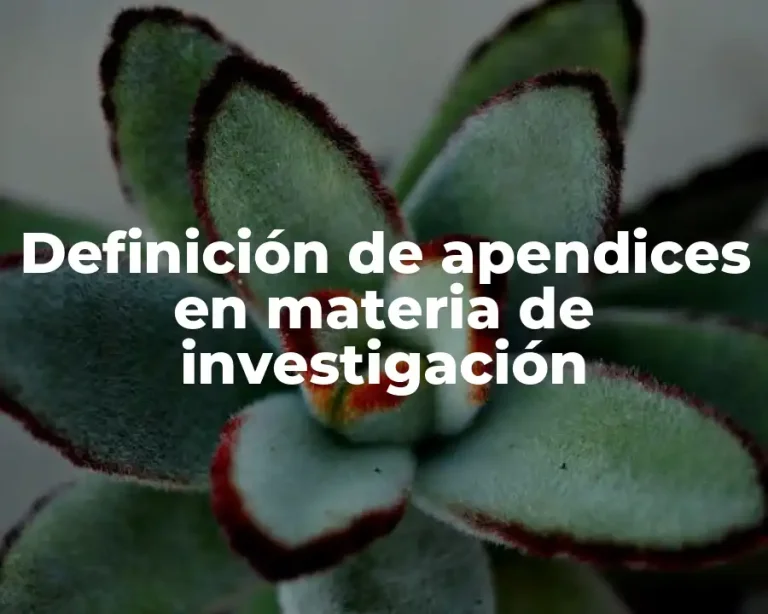 Definición de apendices en materia de investigación