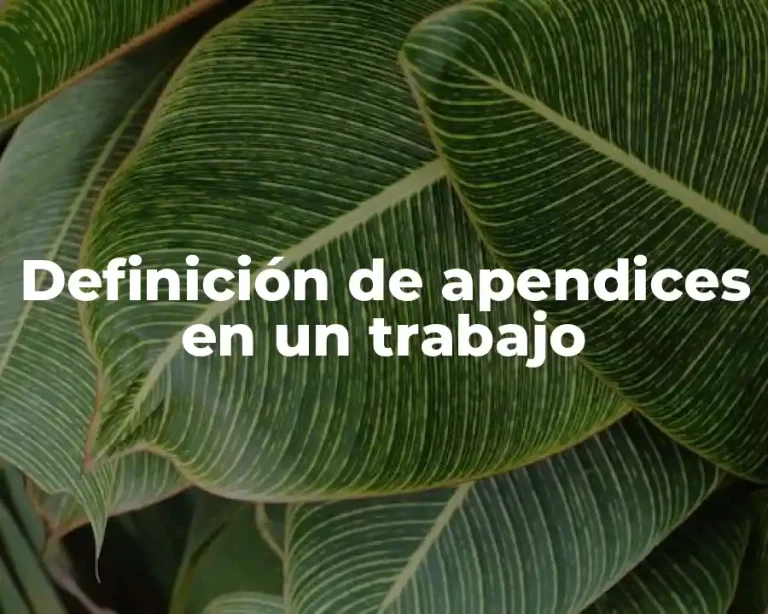 Definición de apendices en un trabajo