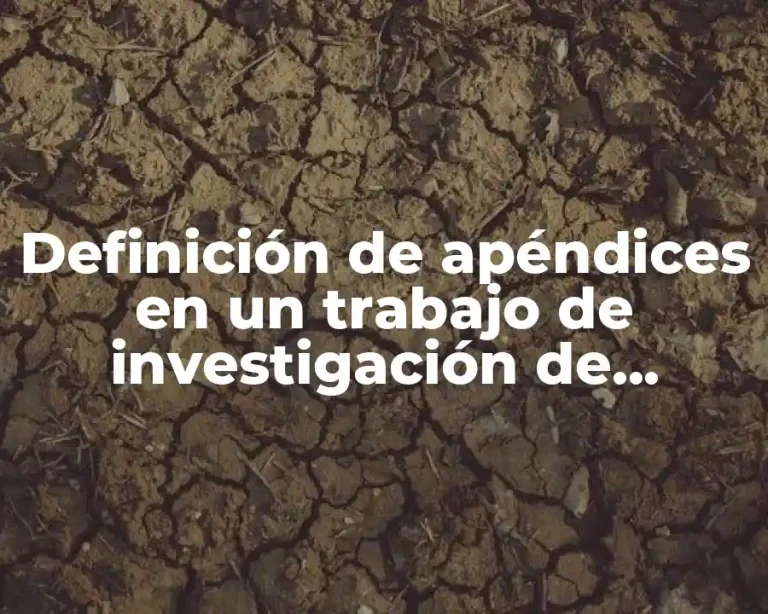 Definición de apéndices en un trabajo de investigación de comunicación