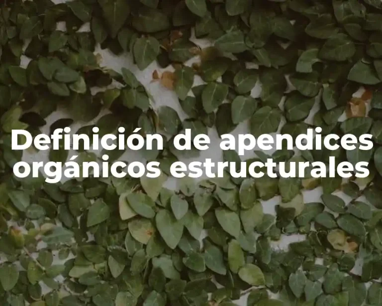 Definición de apendices orgánicos estructurales