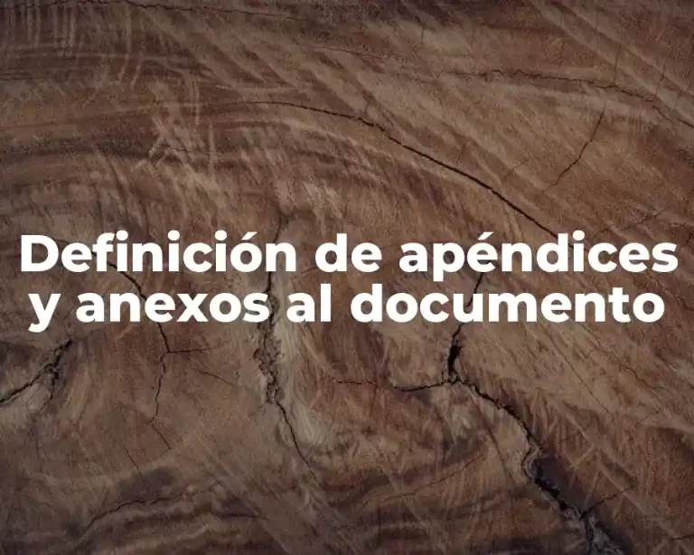 Definición de apéndices y anexos al documento