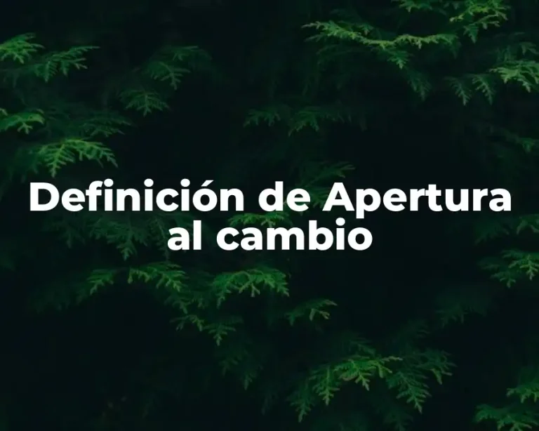 Definición de Apertura al cambio