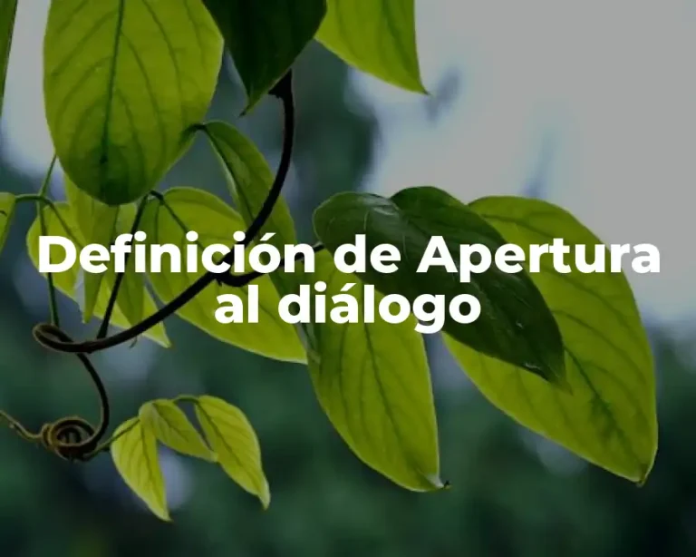 Definición de Apertura al diálogo