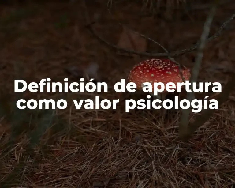 Definición de apertura como valor psicología