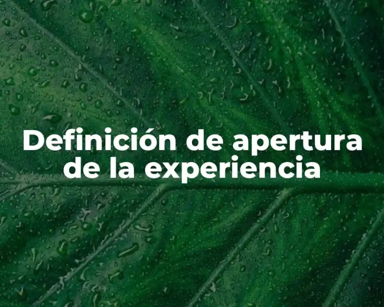 Definición de apertura de la experiencia