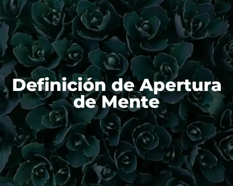 Definición de Apertura de Mente