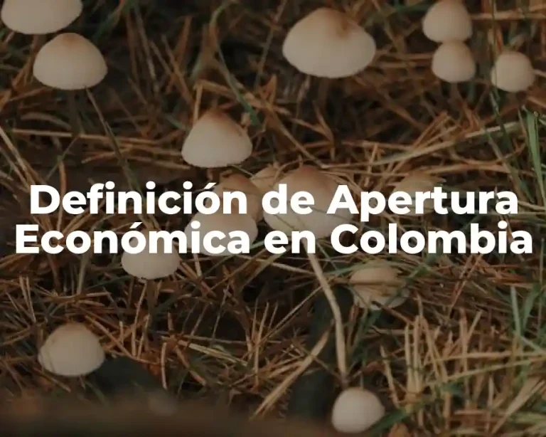 Definición de Apertura Económica en Colombia