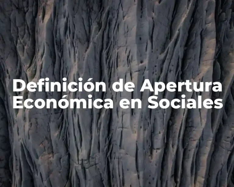 Definición de Apertura Económica en Sociales