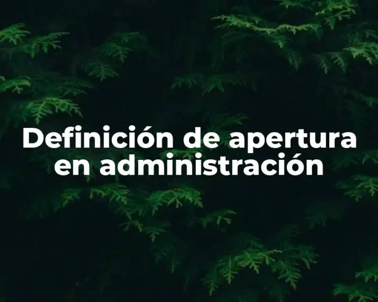 Definición de apertura en administración