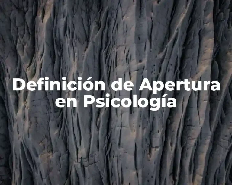 Definición de Apertura en Psicología