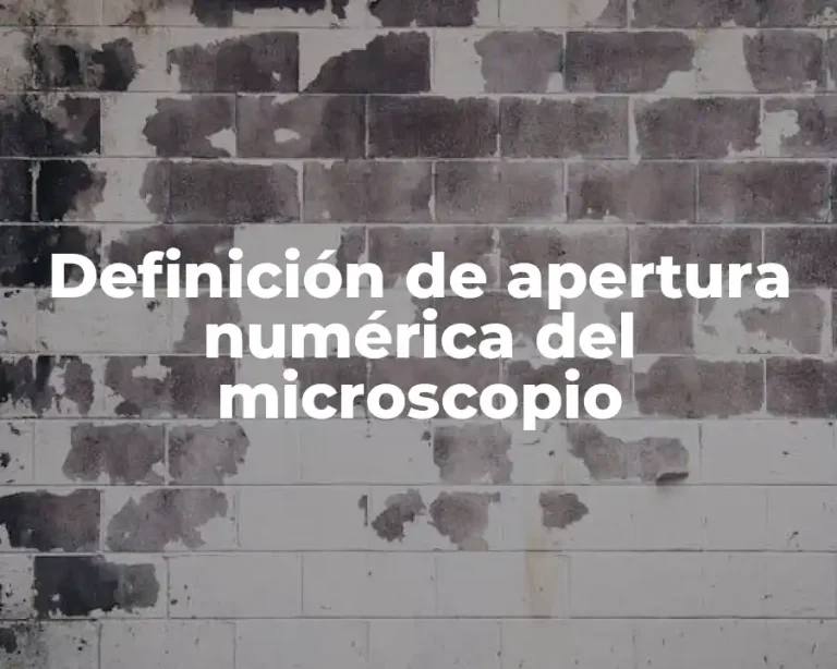 Definición de apertura numérica del microscopio