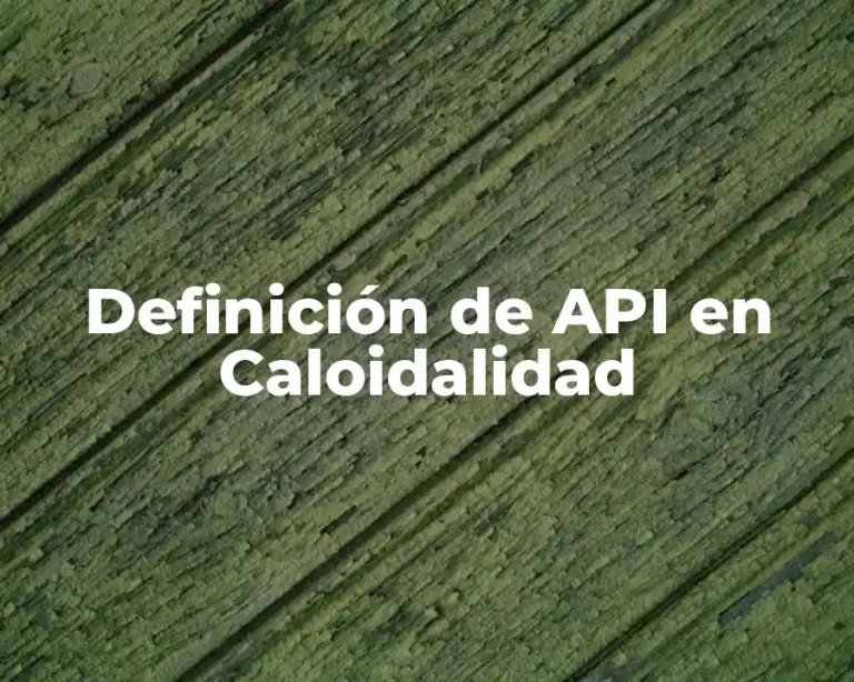 Definición de API en Caloidalidad