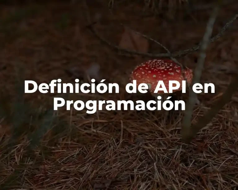 Definición de API en Programación