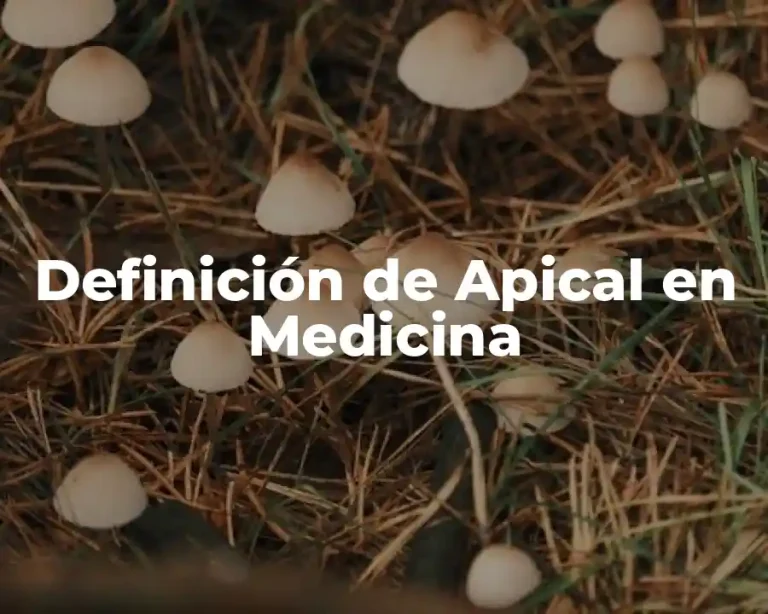 Definición de Apical en Medicina