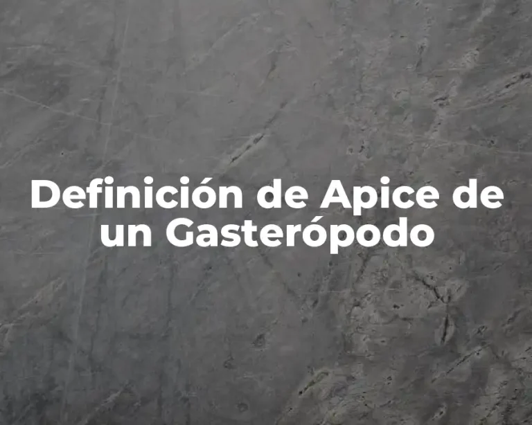 Definición de Apice de un Gasterópodo