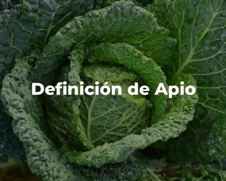 Definición de Apio