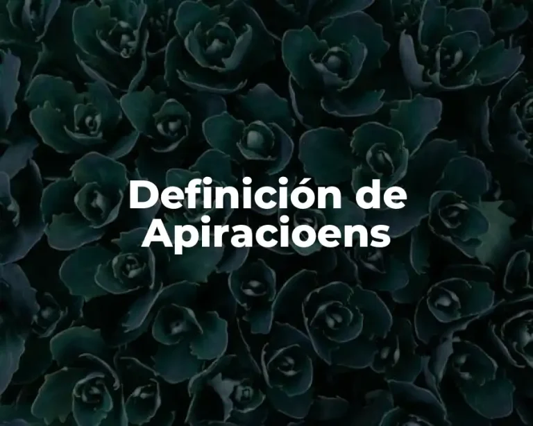 Definición de Apiracioens