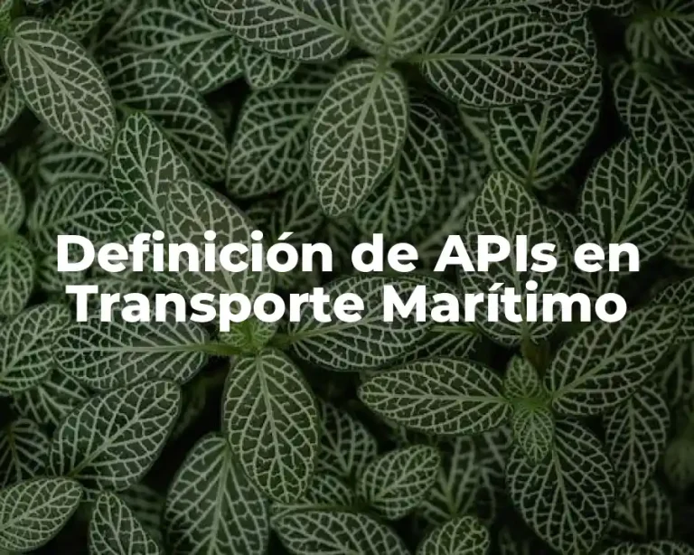 Definición de APIs en Transporte Marítimo
