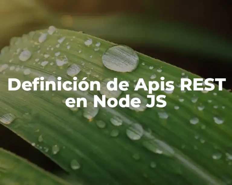 Definición de Apis REST en Node JS