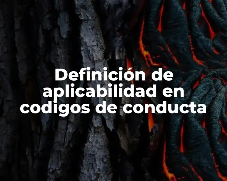 Definición de aplicabilidad en codigos de conducta