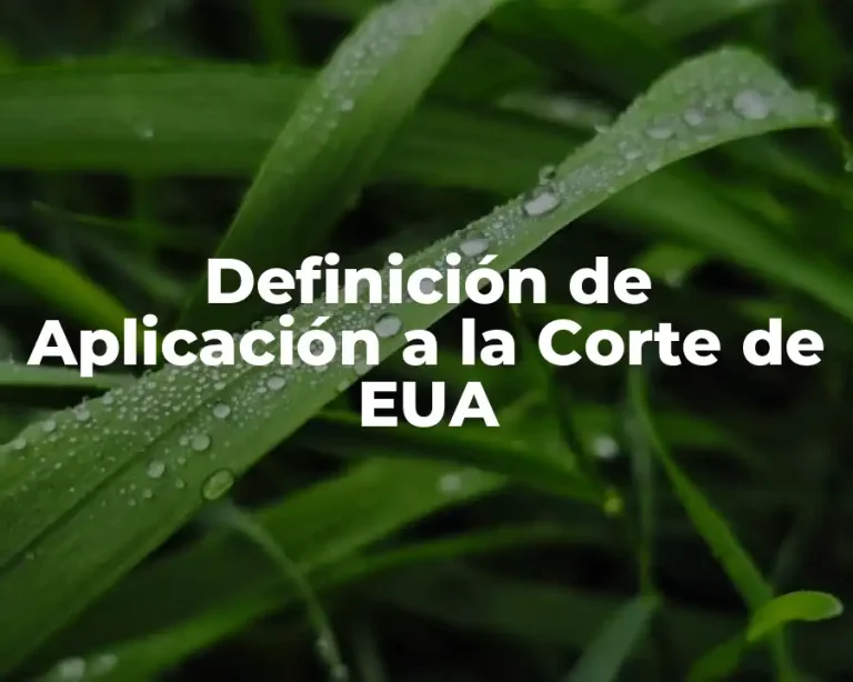 Definición de Aplicación a la Corte de EUA