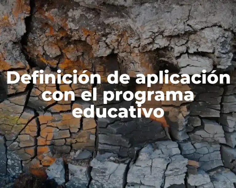 Definición de aplicación con el programa educativo