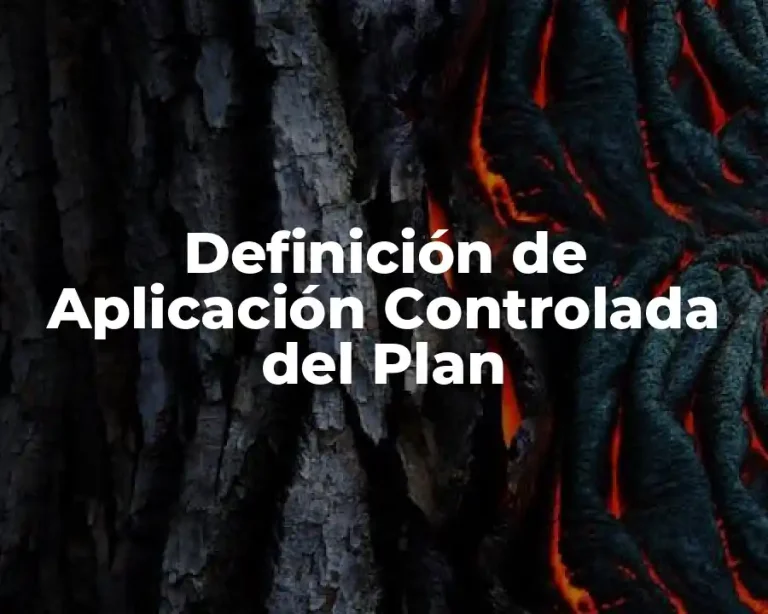 Definición de Aplicación Controlada del Plan