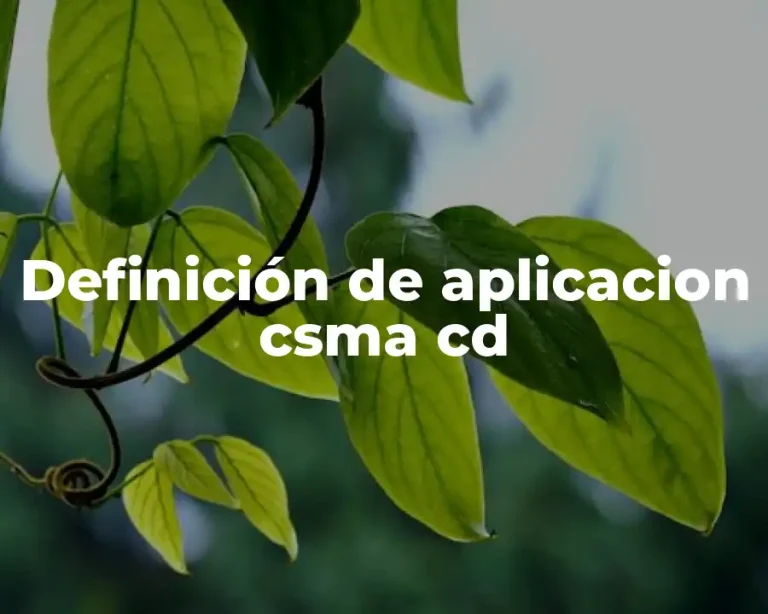 Definición de aplicacion csma cd