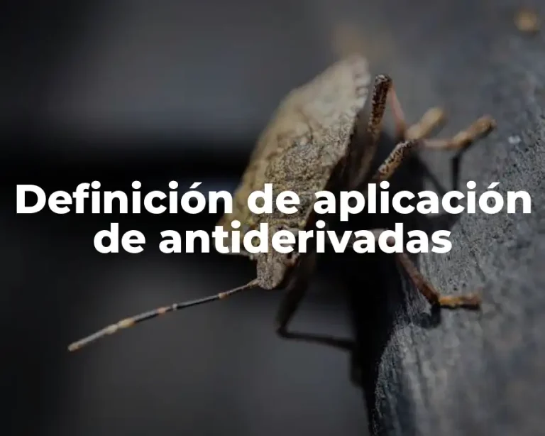Definición de aplicación de antiderivadas