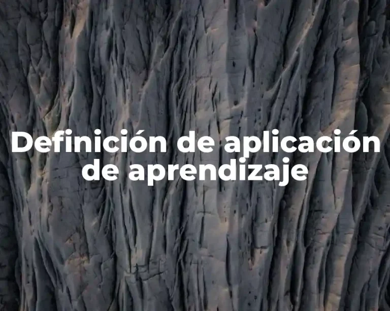 Definición de aplicación de aprendizaje