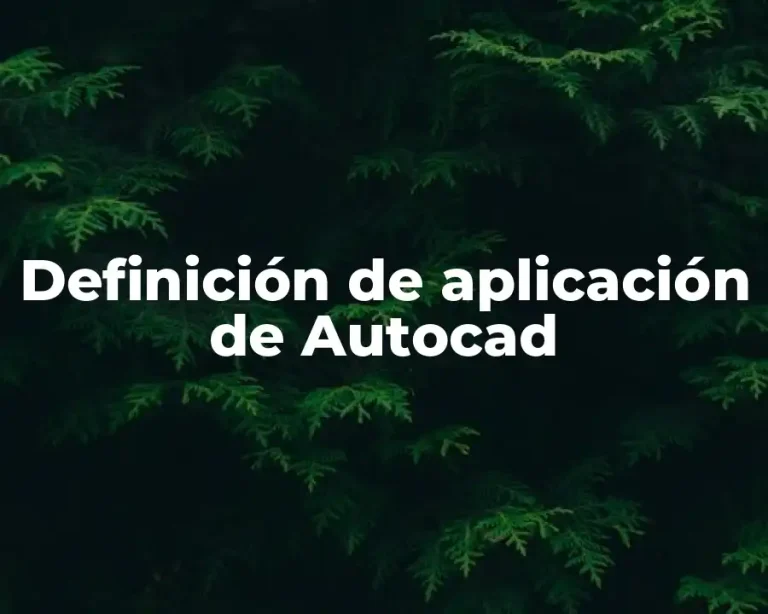 Definición de aplicación de Autocad
