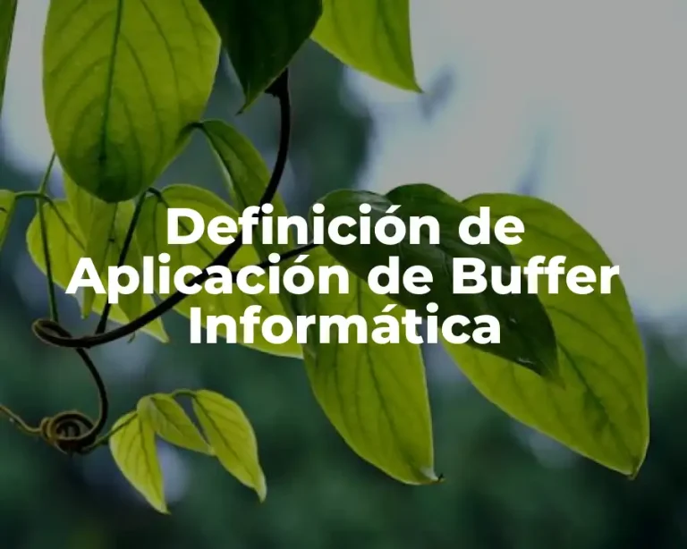 Definición de Aplicación de Buffer Informática
