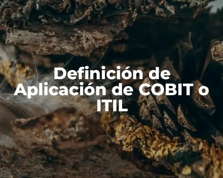Definición de Aplicación de COBIT o ITIL
