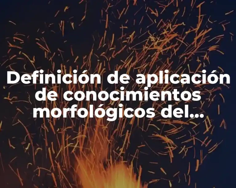 Definición de aplicación de conocimientos morfológicos del segundo idioma