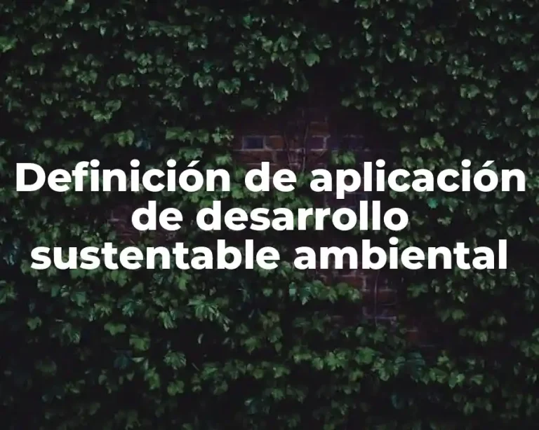 Definición de aplicación de desarrollo sustentable ambiental