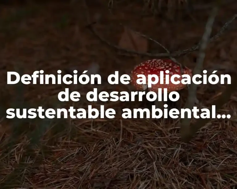 Definición de aplicación de desarrollo sustentable ambiental en Finlandia