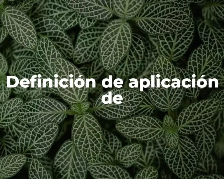 Definición de aplicación de