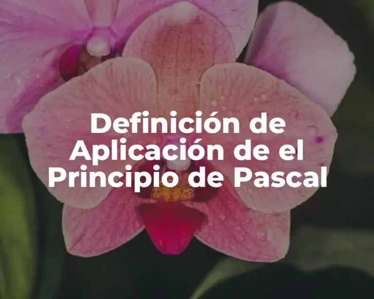 Definición de Aplicación de el Principio de Pascal